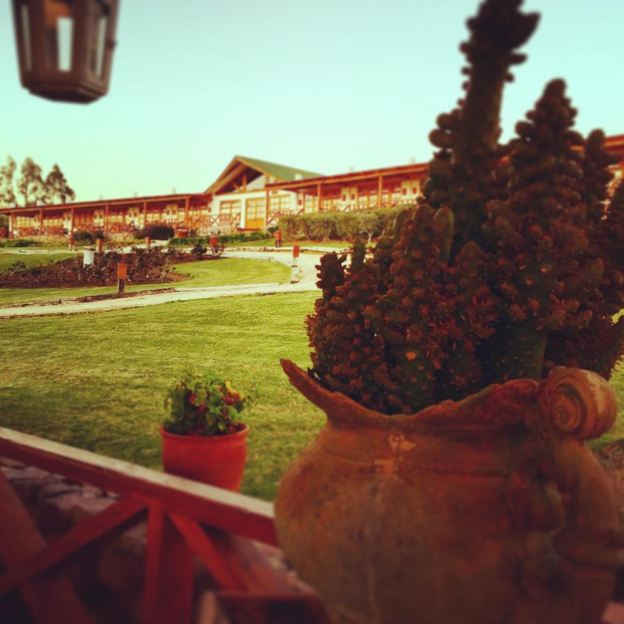 Hacienda Santa Cristina Hotel Ovalle Eksteriør billede