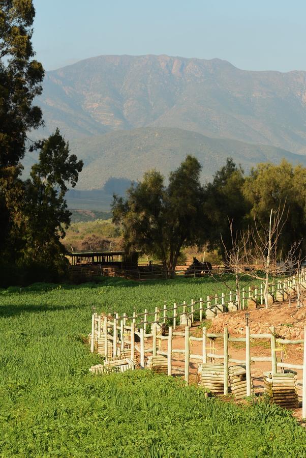 Hacienda Santa Cristina Hotel Ovalle Eksteriør billede