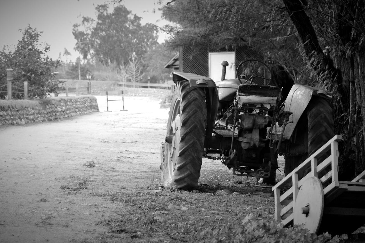 Hacienda Santa Cristina Hotel Ovalle Eksteriør billede